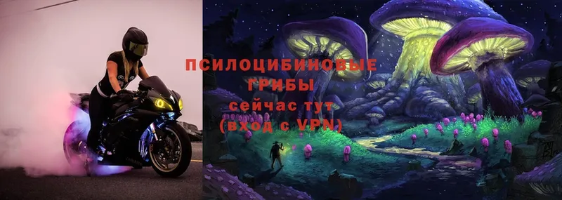 Псилоцибиновые грибы Magic Shrooms  Ряжск 